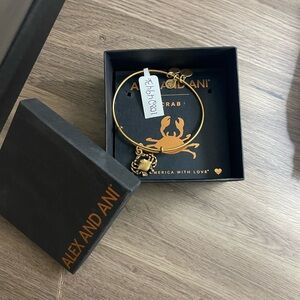 Alex and ani charm bracelet